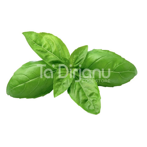 FRESH BASIL PER KG FRUITS VEGETABLES Ta Dirjanu Foodstore Gozo